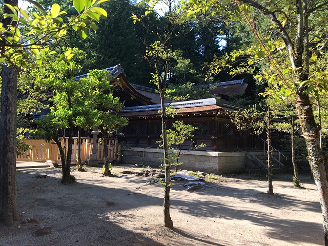 武田神社　本殿