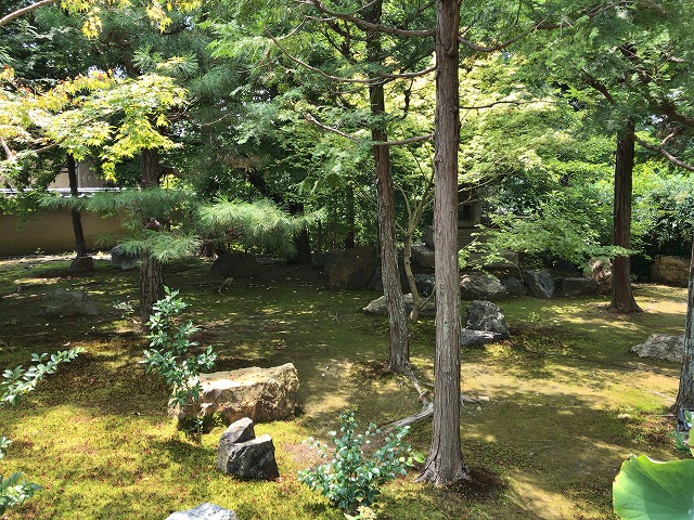 勝林寺(京都市)　境内庭園