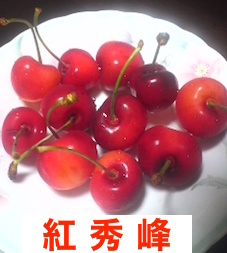 紅秀峰という品種のさくらんぼ！旬のフルーツを贅沢に買いました！2019:7:10のブログ用,jpg