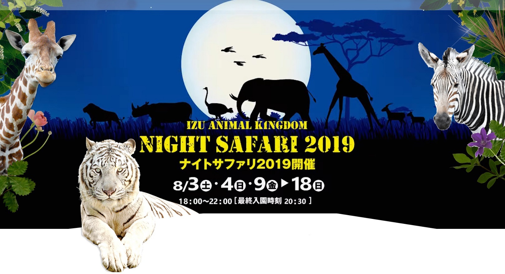 2019 night safari homepage mini