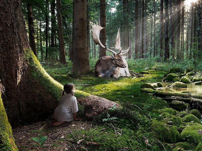 fairytale-forest-background-21492.jpg
