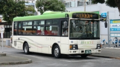 3035/KK-LR233J1